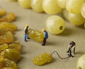 Hunter Valley Wine School - Sunshine Coast Tourism 0