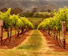 Hunter Valley Wine School - Sunshine Coast Tourism 1