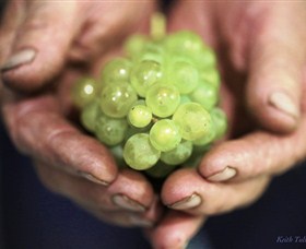 Keith Tulloch Wine - Sunshine Coast Tourism 1