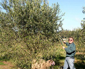 Langdale Farm - Sunshine Coast Tourism 3