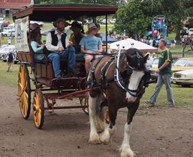 The Australiana Pioneer Village - Sunshine Coast Tourism 5