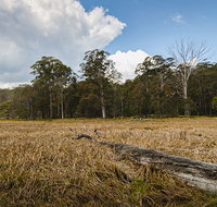 Mummel Gulf National Park - Sunshine Coast Tourism
