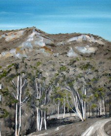 Greg Wilson Gallery - Holiday Sunshine Coast 2