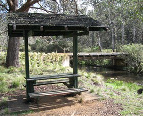 Barrington Tops State Forest - Sunshine Coast Tourism 0