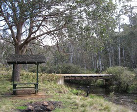 Barrington Tops State Forest - Sunshine Coast Tourism 1