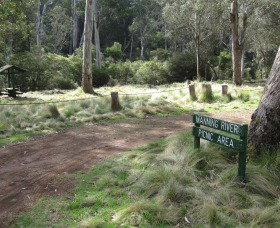 Barrington Tops State Forest - Sunshine Coast Tourism 3