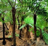 Pegarah Private Nature Reserve  Parenna Place - Holiday Sunshine Coast