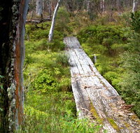 Gloucester Tops circuit - Sunshine Coast Tourism