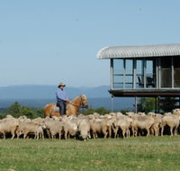 Tobruk Sydney - Holiday Sunshine Coast