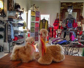 Australian Alpaca Barn - Hunter Valley Gardens - Sunshine Coast Tourism 2