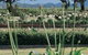 Vinden Estate Wines - thumb 1
