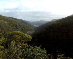 Nattai Gorge Lookout - Holiday Sunshine Coast 0