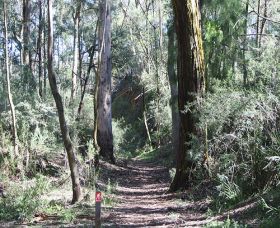 Box Vale Mine Walking Track And Lookout - Holiday Sunshine Coast 0