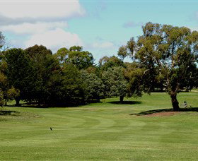 Cooma Golf Club - Sunshine Coast Tourism 1