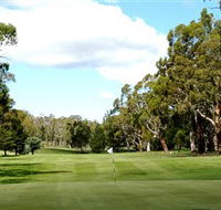 Cooma Golf Club - Holiday Sunshine Coast