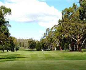 Cooma Golf Club - Sunshine Coast Tourism 0