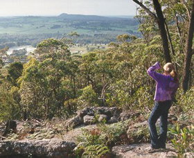 Gibbergunyah Reserve - Sunshine Coast Tourism 0