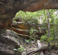 Cave Creek Walking Track - Holiday Sunshine Coast