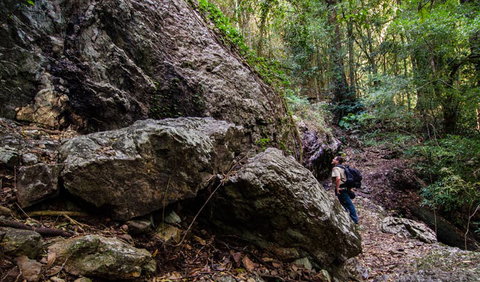 Woko National Park - Sunshine Coast Tourism 2