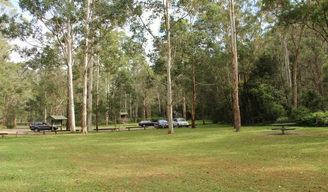 Mill Creek Picnic Area - Sunshine Coast Tourism 0