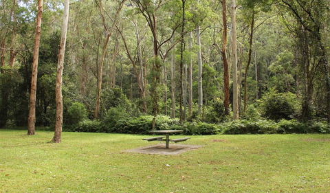 Mill Creek Picnic Area - Sunshine Coast Tourism 1