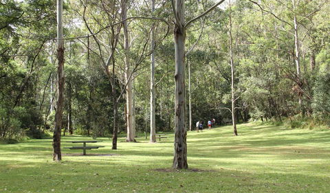 Mill Creek Picnic Area - Sunshine Coast Tourism 3