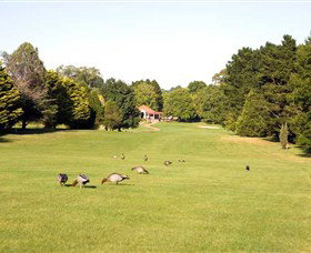 Moss Vale Golf Club - Holiday Sunshine Coast 2