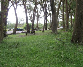 Mount Jellore Lookout - Sunshine Coast Tourism 1