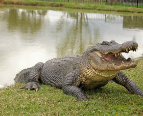 Hunter Valley Zoo - Holiday Sunshine Coast 1