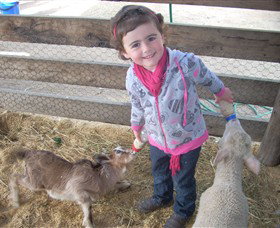 Hunter Valley Zoo - Holiday Sunshine Coast 4