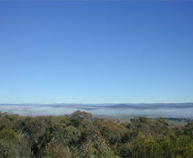 Mount Gladstone - Holiday Sunshine Coast 0