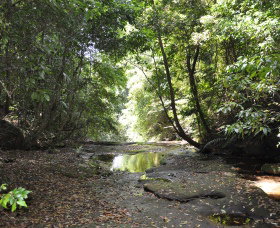 State Forests Of The Watagan Mountains - Holiday Sunshine Coast 1
