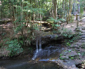State Forests Of The Watagan Mountains - Holiday Sunshine Coast 3