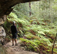 Dharug National Park - Sunshine Coast Tourism