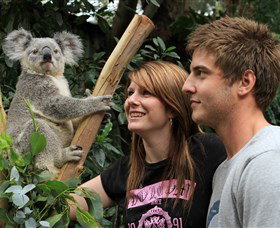 Featherdale Wildlife Park - Holiday Sunshine Coast 0