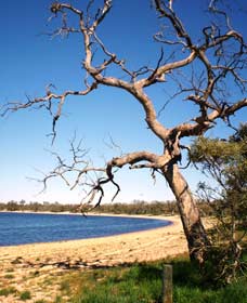 Lake Indoon - Sunshine Coast Tourism 0