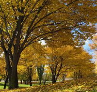 Centennial Park at Cooma - Holiday Sunshine Coast