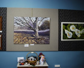 Monaro Art Groups Little Gallery - Sunshine Coast Tourism 0