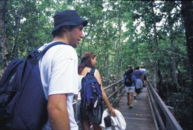 Villeneuve QLD Sunshine Coast Tourism