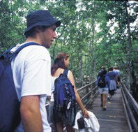 Bellthorpe National Park - Sunshine Coast Tourism