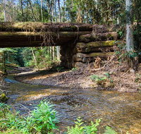 Myrtle Scrub scenic drive - Sunshine Coast Tourism