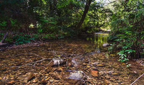 Myrtle Scrub Scenic Drive - Sunshine Coast Tourism 2