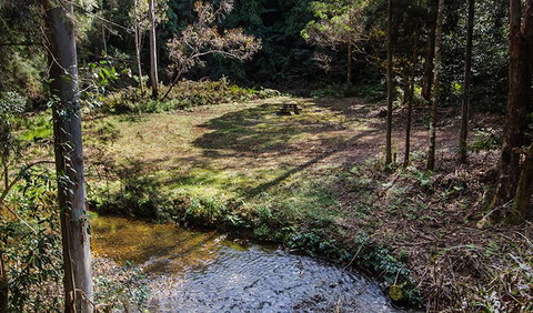 Myrtle Scrub Scenic Drive - Sunshine Coast Tourism 3