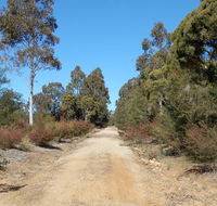 Werakata National Park - Holiday Sunshine Coast