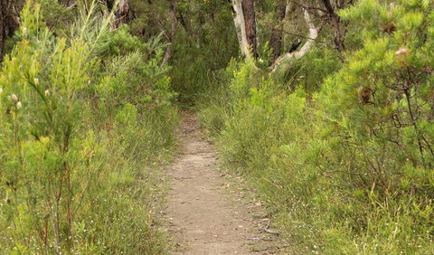 Three Views Walking Track - Holiday Sunshine Coast 0