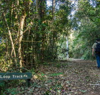 Basin Loop track - Sunshine Coast Tourism
