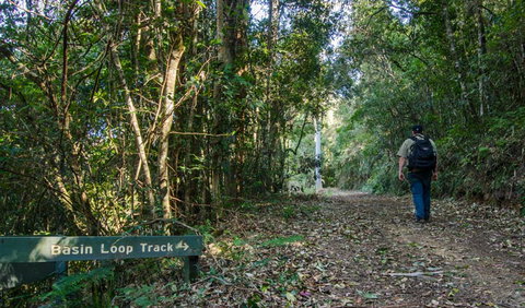 Basin Loop Track - Sunshine Coast Tourism 0
