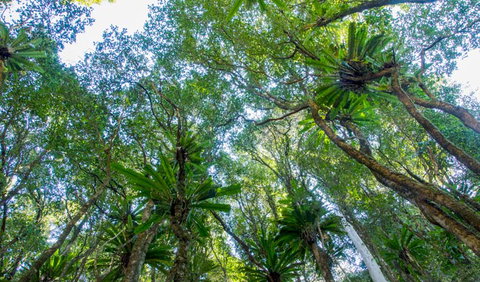 Hidden Treasure Track - Sunshine Coast Tourism 2