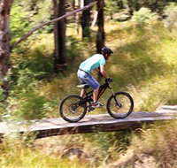 The Steps Mountain Bike Park - Sunshine Coast Tourism