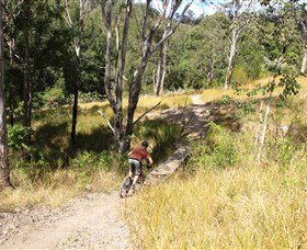 The Steps Mountain Bike Park - Sunshine Coast Tourism 2